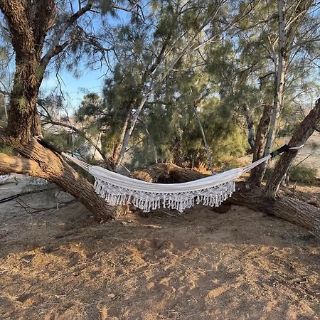 Casa Agave: Comfy Joshua Tree Cottage With Free Breakfast Bar Εξωτερικό φωτογραφία
