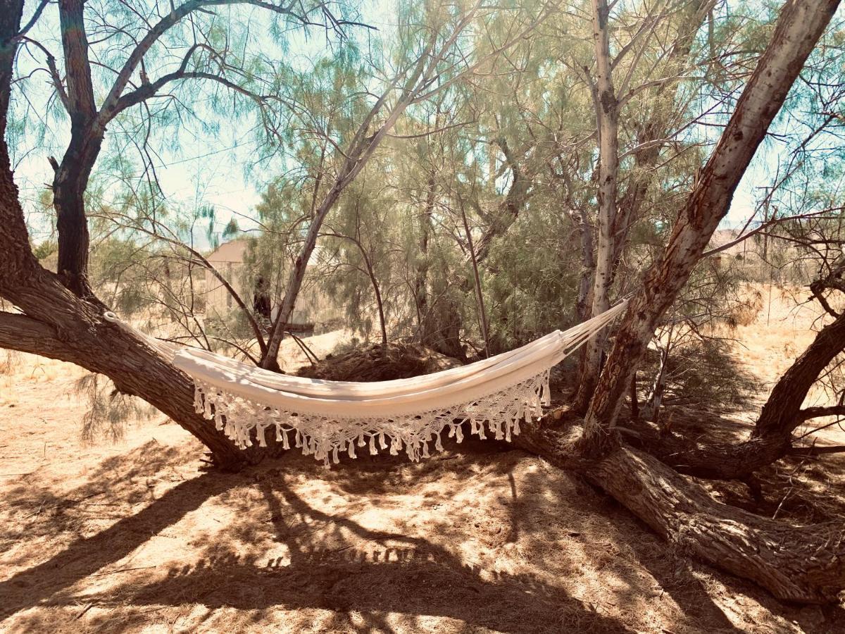 Casa Agave: Comfy Joshua Tree Cottage With Free Breakfast Bar Εξωτερικό φωτογραφία