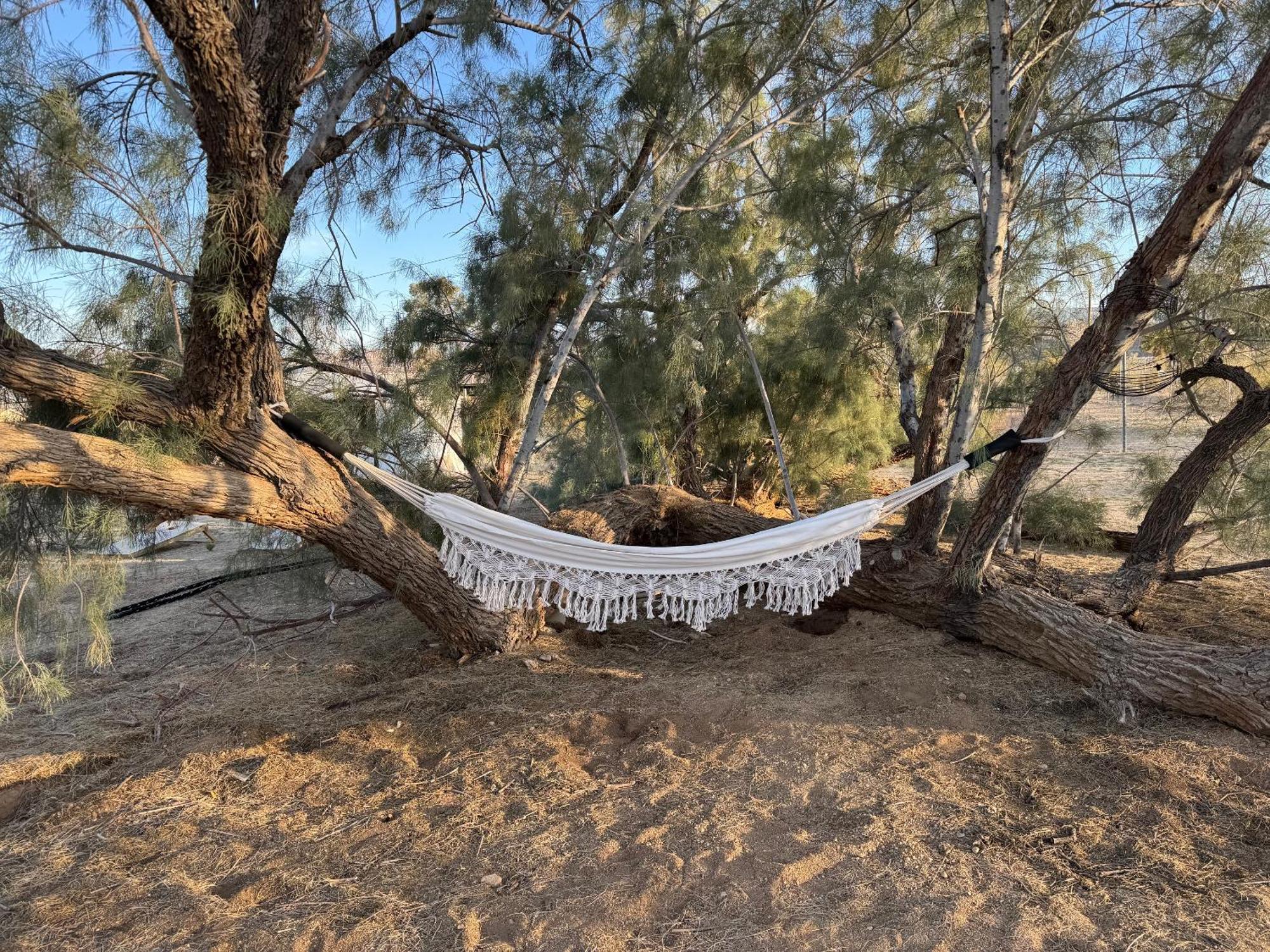 Casa Agave: Comfy Joshua Tree Cottage With Free Breakfast Bar Εξωτερικό φωτογραφία